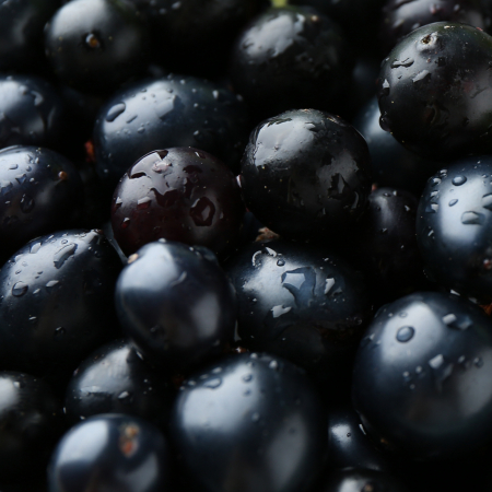 Crema de fata hidratanta PURA NATURA, 100% ingrediente naturale, ORGANIC & VEGAN, Laura Baldini, 50 ml [3]