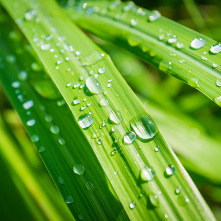 Gel exfoliant pentru fata GOOD VIBES, 100% ingrediente naturale, ORGANIC & VEGAN, Laura Baldini, 100 ml [2]