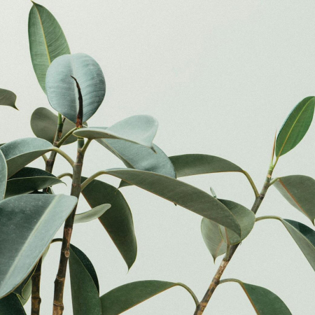 Gel exfoliant pentru fata GOOD VIBES, 100% ingrediente naturale, ORGANIC & VEGAN, Laura Baldini, 100 ml [3]