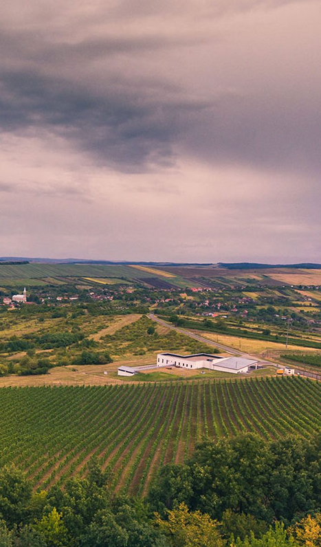 Carastelec Winery