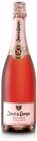 SPUMANTE - Cava Brut Rose