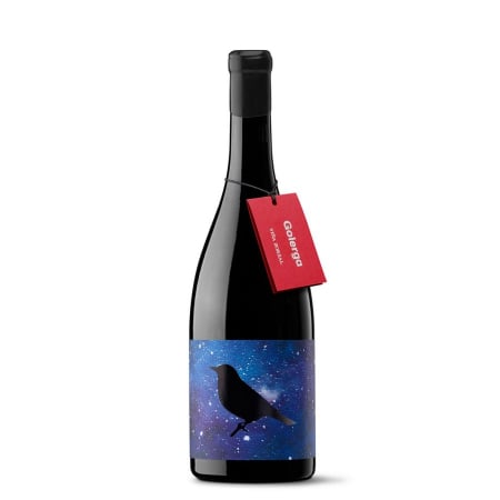 VIN ROSU - Vina Zorzal Golerga