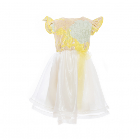 Rochii - Rochiță tafta și organza