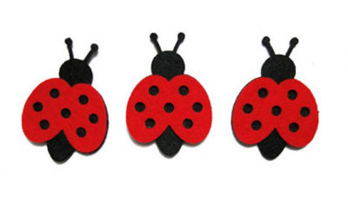 Figurine din fetru- buburuze- 8 cm(3/set) [1]
