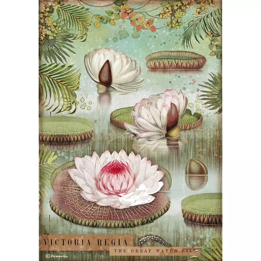 Hartie de orez A4- Amazonia lotus [1]