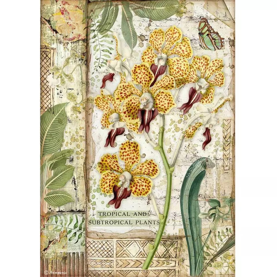 Hârtie de orez – Amazonia orchidee– A4 [1]
