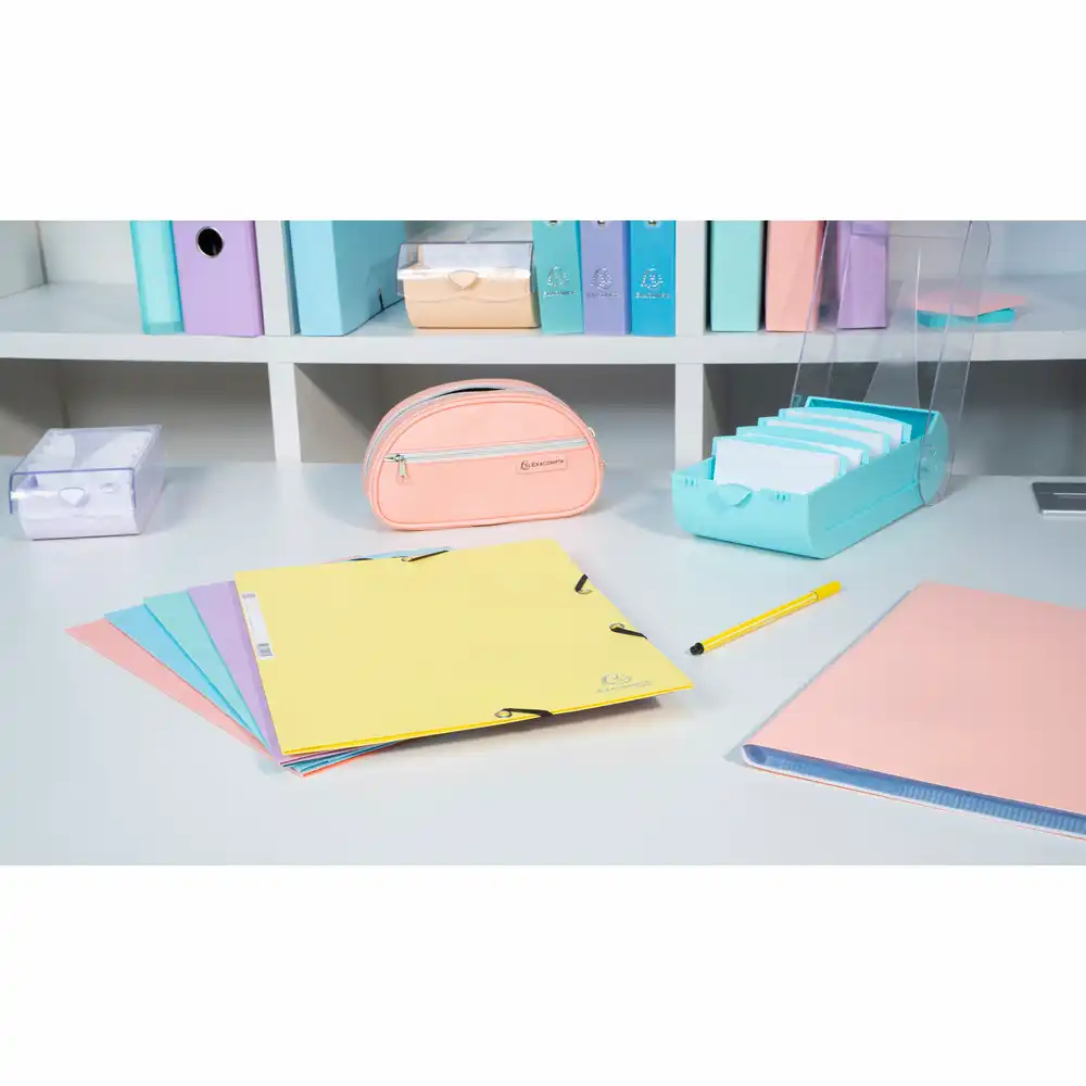 Mapa carton premium cu elastic [2]