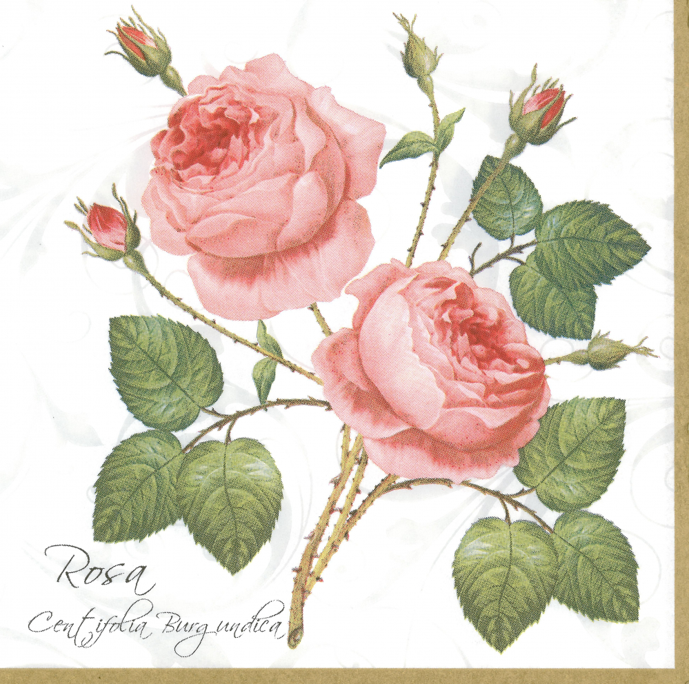 Servetel decorativ rosa 33 x 33 cm [1]