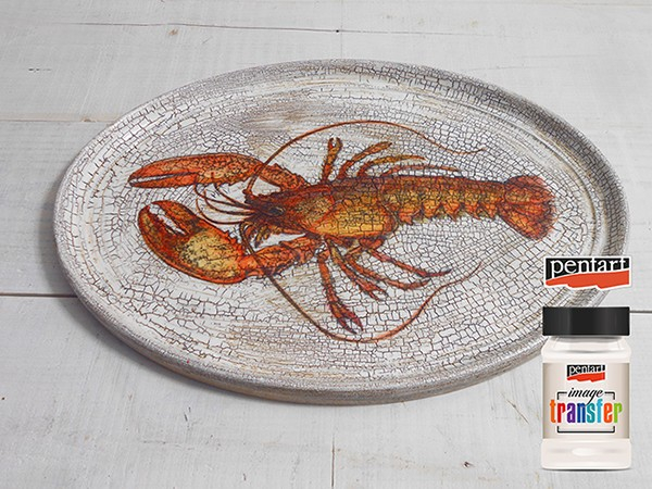 Solutie transfer pt. imagini- 100 ml [5]