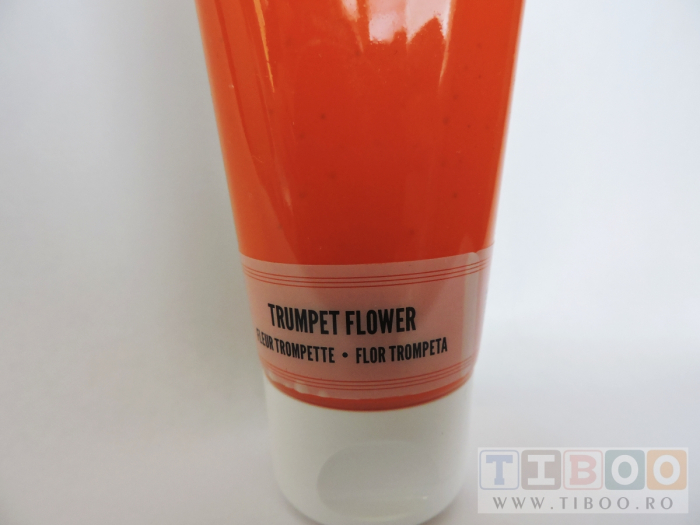 Vopsea acrilica cremoasa 60 ml- trompet flower [2]