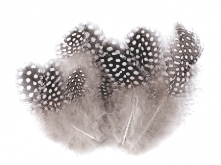 Primavara - Pene decorative 5-13 cm lungime, 20 buc/set