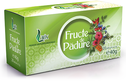 Ceaiuri Pliculete - Ceai Fructe de Padure cu snur 20 doze 40g