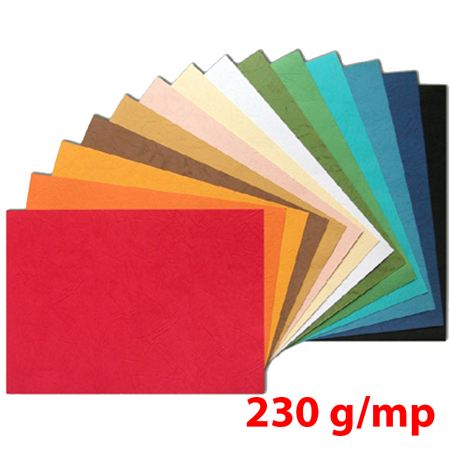 Hartie si Carton - Coperti carton imitatie piele 230g - A4