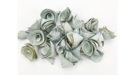 Plante uscate - Flori din scoarta 3-5 cm 5buc/set