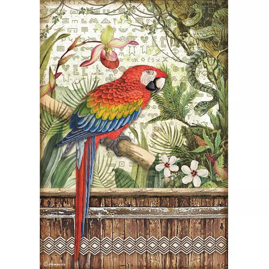 Servetele hartie de orez - Hartie de orez A4- Amazonia papagal