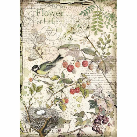 Servetele hartie de orez - Hartie de orez pt. decoupage A4- Flower of Life