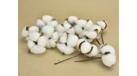 Alte accesorii -  Pick floare de bumbac 6 cm