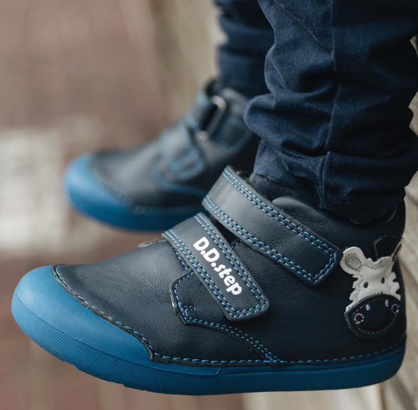 DD Step