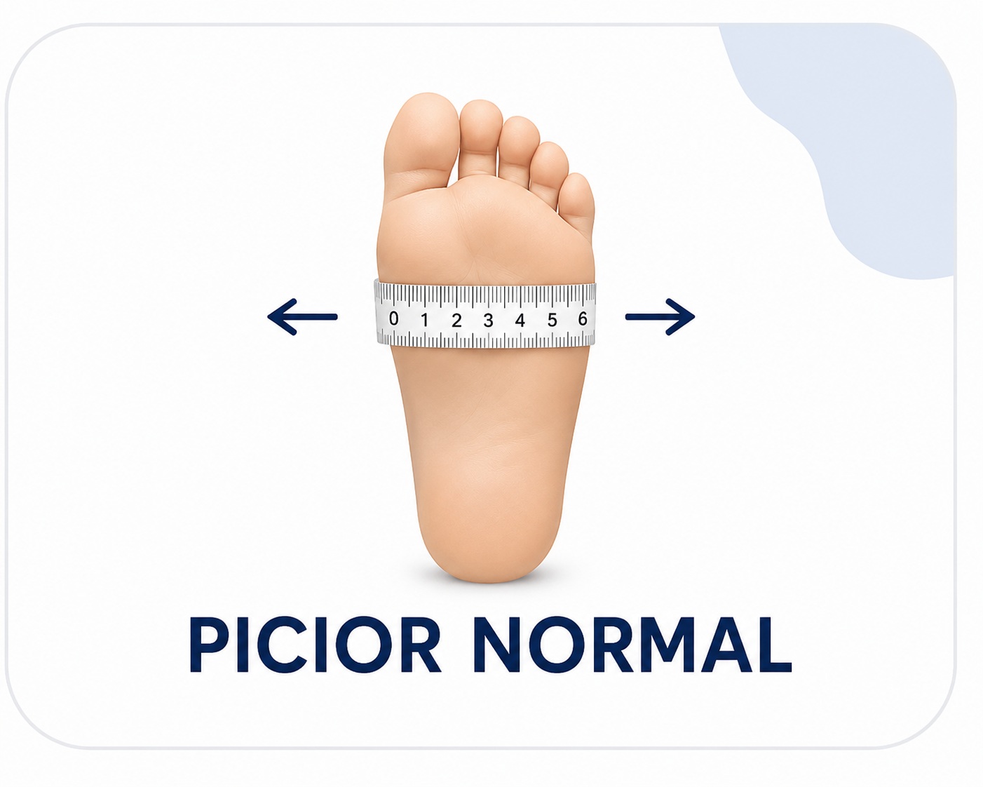 Picior normal