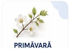 Pantofi D.D.Step C100-62222 potriviți pentru primăvară uscată