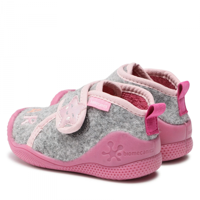 231293A Gris Fieltro, Biomecanics [4]