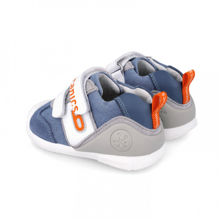 242131-A   Biomecanics [3]