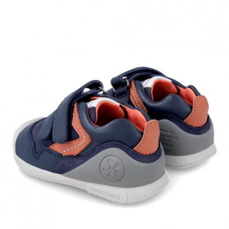 231126A  Biomecanics [1]