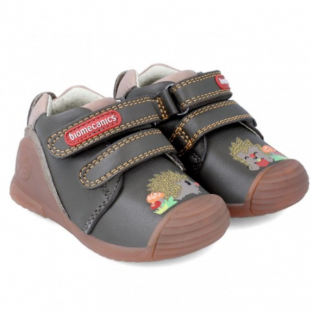 231110A  Biomecanics [0]