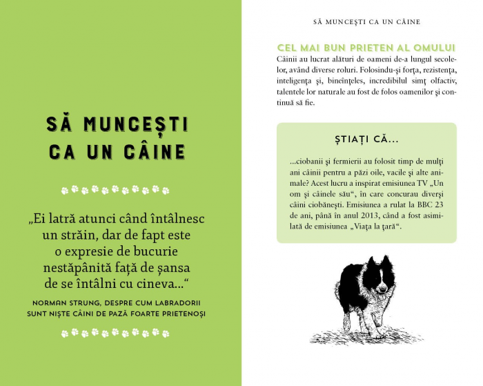 De ce iubim câinii? [5]