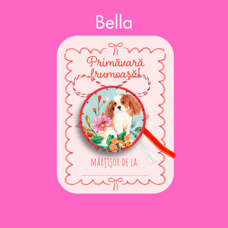 Accesorii - Colecția Pentru Iubitorii de Căței - Mărțișor 2026