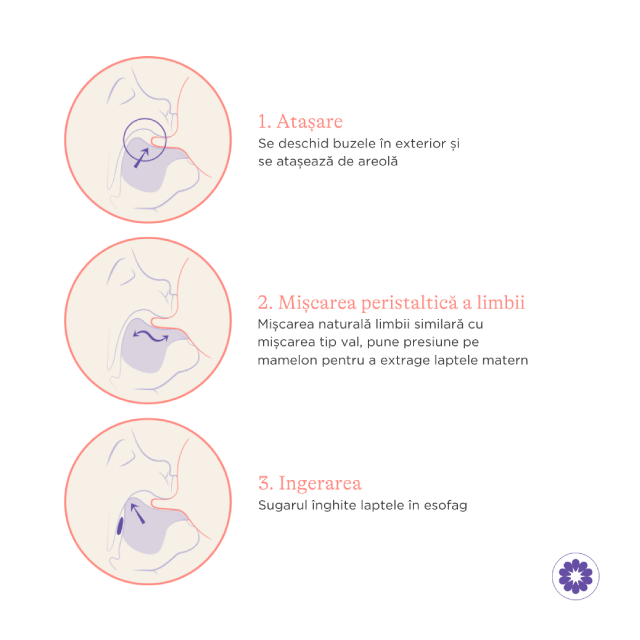 Biberon cu tetină NaturalWave® Lansinoh - 240 ml [5]