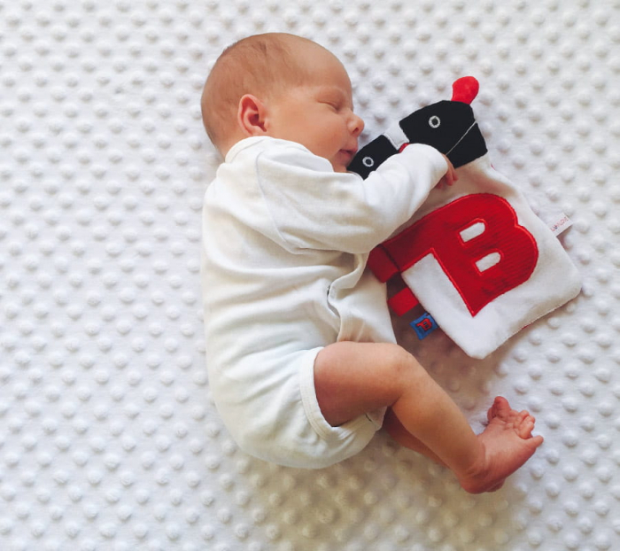 Jucarie Senzoriala Mini MRB [6]