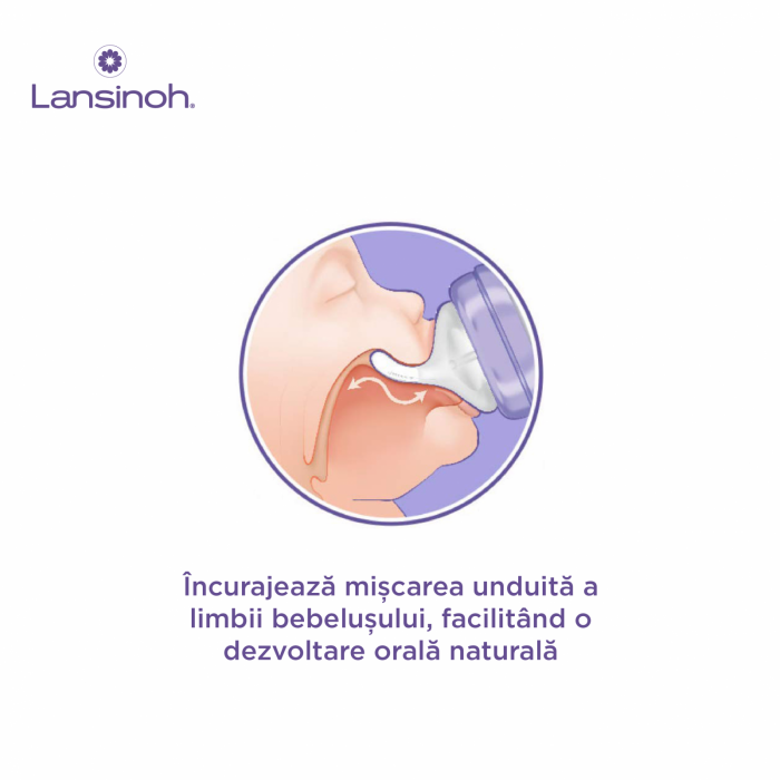 Pachet 3x Biberon Lansinoh - 240 ml [2]