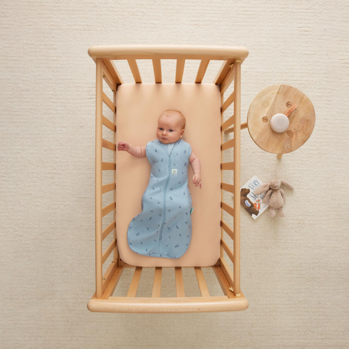 Sac de Dormit Swaddle ErgoPouch  0.2 TOG 0-3 Luni Dragonflies [4]