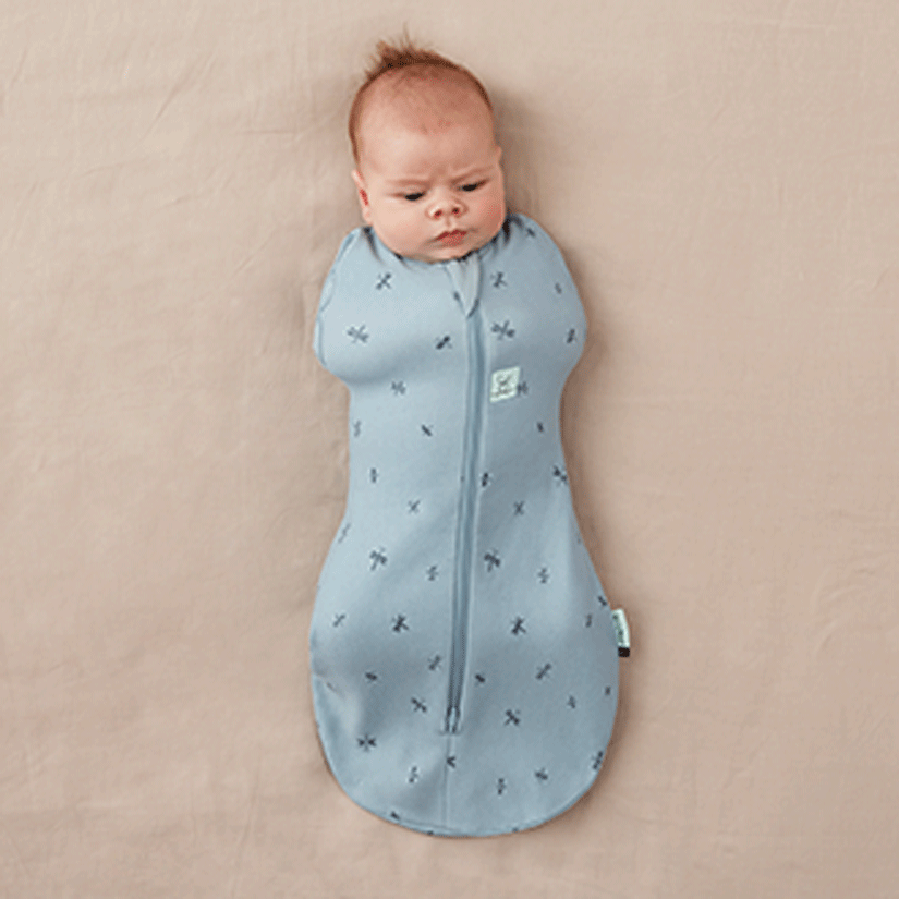 Sac de Dormit Swaddle  ErgoPouch 1.0 TOG 3-6 Luni Dragonflies [2]