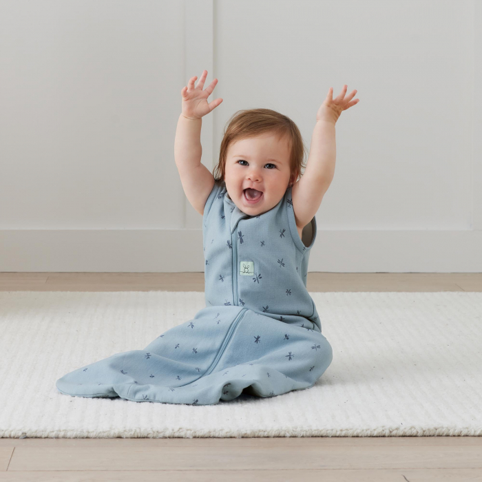 Sac de Dormit Swaddle ErgoPouch 1.0 TOG 6-12 Luni Dragonflies [3]