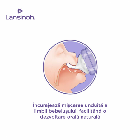 Pachet 3x Biberon Lansinoh - 240 ml [1]