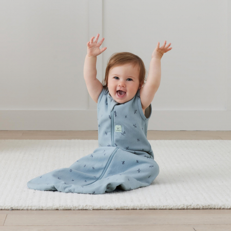Sac de Dormit Swaddle  ErgoPouch 1.0 TOG 3-6 Luni Dragonflies [2]