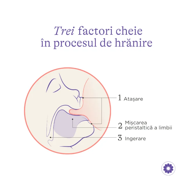 Tetină cu flux lent NaturalWave® S, Lansinoh - 2 buc. [4]