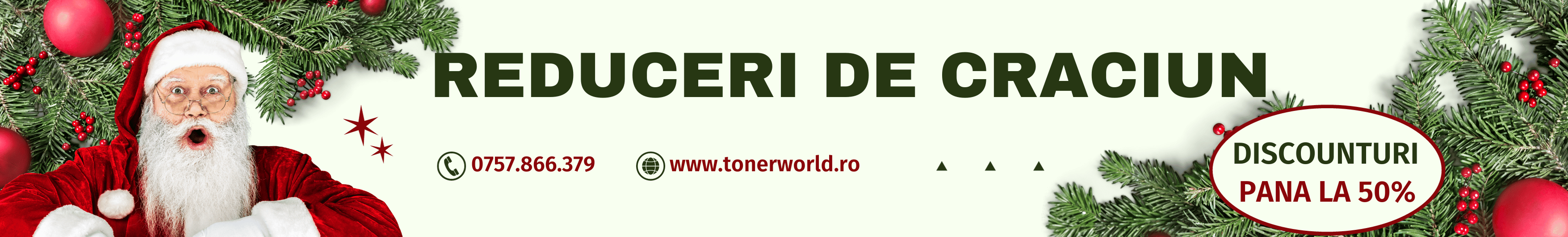 Reduceri de Craciun