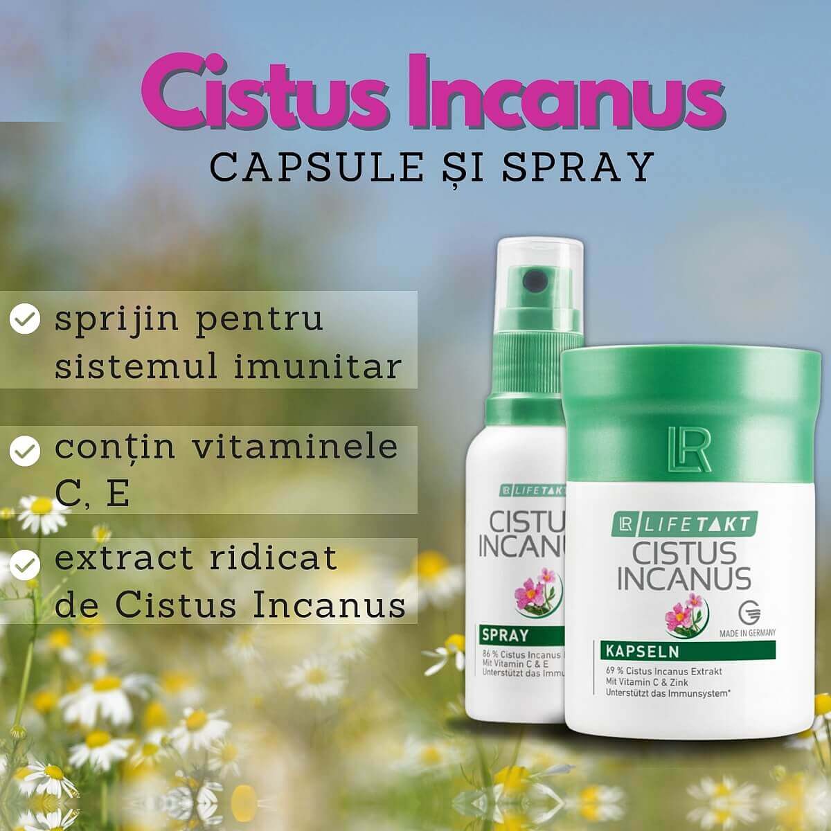Cistus capsule si spray imunitate LR