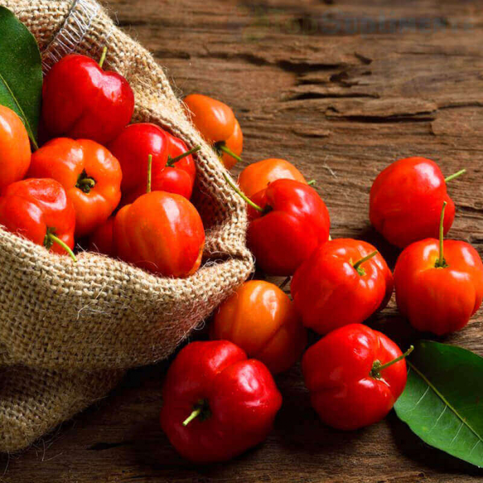 Acerola Bio Zenyth, vitamina C, imunitate, creștere și dezvoltare, oase, mușchi, dinți, răceli, viroze [2]