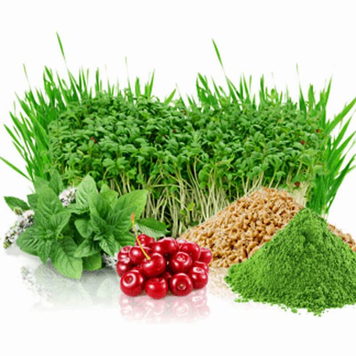 BioGreens supliment pudra energie detoxifiere detoxifiant super aliment Zenyth 28 plicuri TopSuplimente [3]