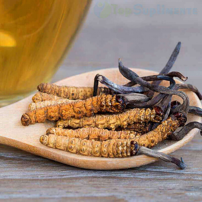 Ciupercă tibetană extract forte Cordyceps Sinensis, anti-tumoral cancer, ficat, hepatită, astm, imunitate (Health Nutrition) [2]