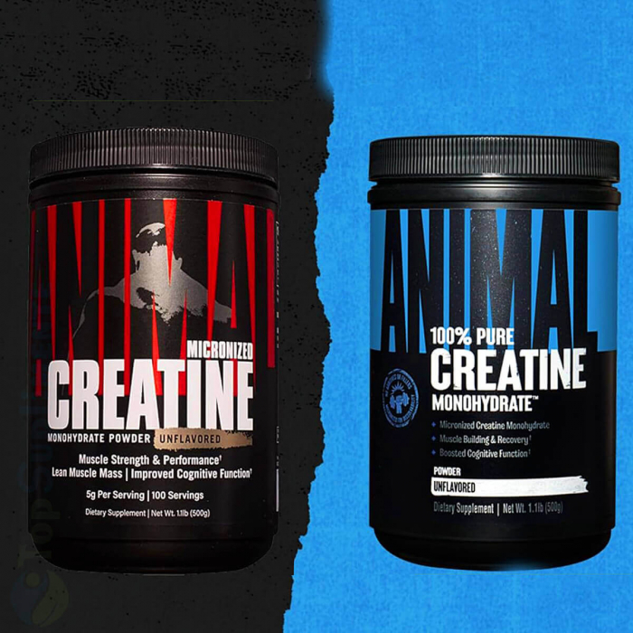 Creatina monohidrata micronizata creapure pudra Universal Nutrition - TopSuplimente [4]