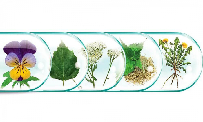 Supliment pastile alergii Bettarax Forte Rotta Natura 30cps TopSuplimente [2]