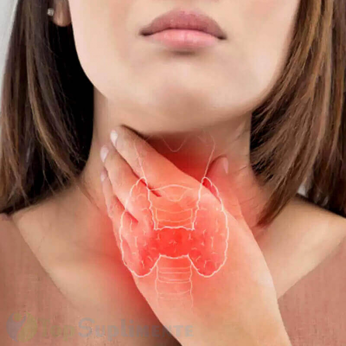 Usturoi extract uleios 60 capsule, fără miros, respirație, viroze, bronșite, inimă, circulație, digestie, stres (Health Nutrition) [4]