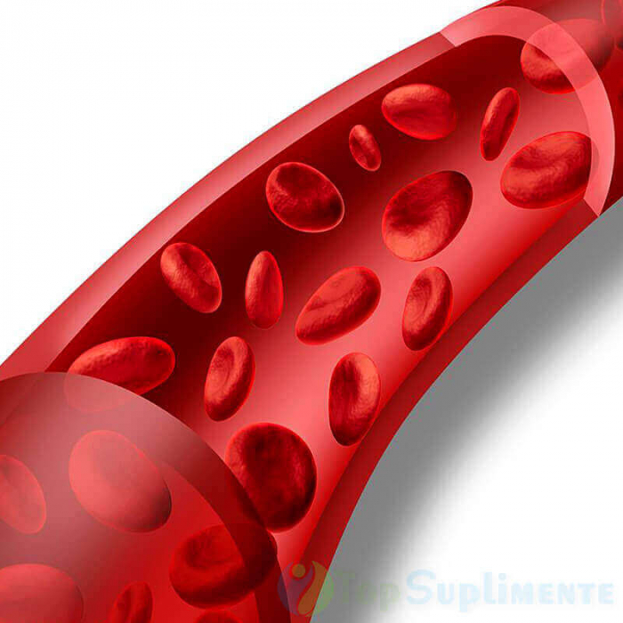 Vitamina B6 piridoxină 20mg. 60 capsule, globule roșii, serotonină, vase sânge, energie, concentrație, anemie, imunitate (Swanson) [3]