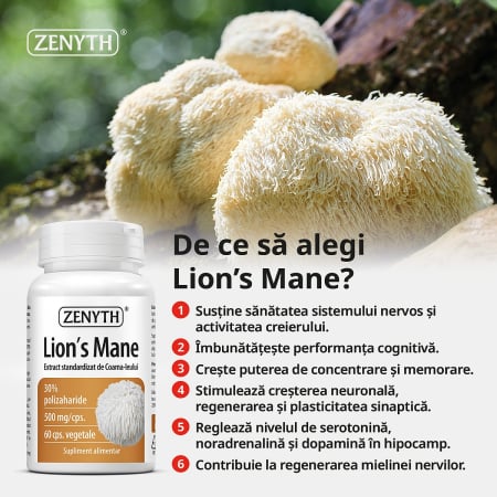 Lion’s Mane coama leului capsule pastile sistem nervos creier Zenyth - TopSuplimente [1]