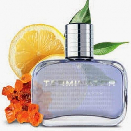 Recomandari produse - Parfum barbati Terminator clasic misterios masculin LR TopSuplimente